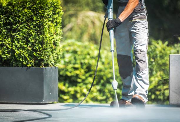 Best Fence Cleaning  in Clton, IN
