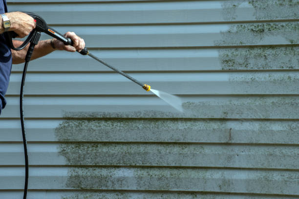 Best Driveway Pressure Washing  in Clton, IN